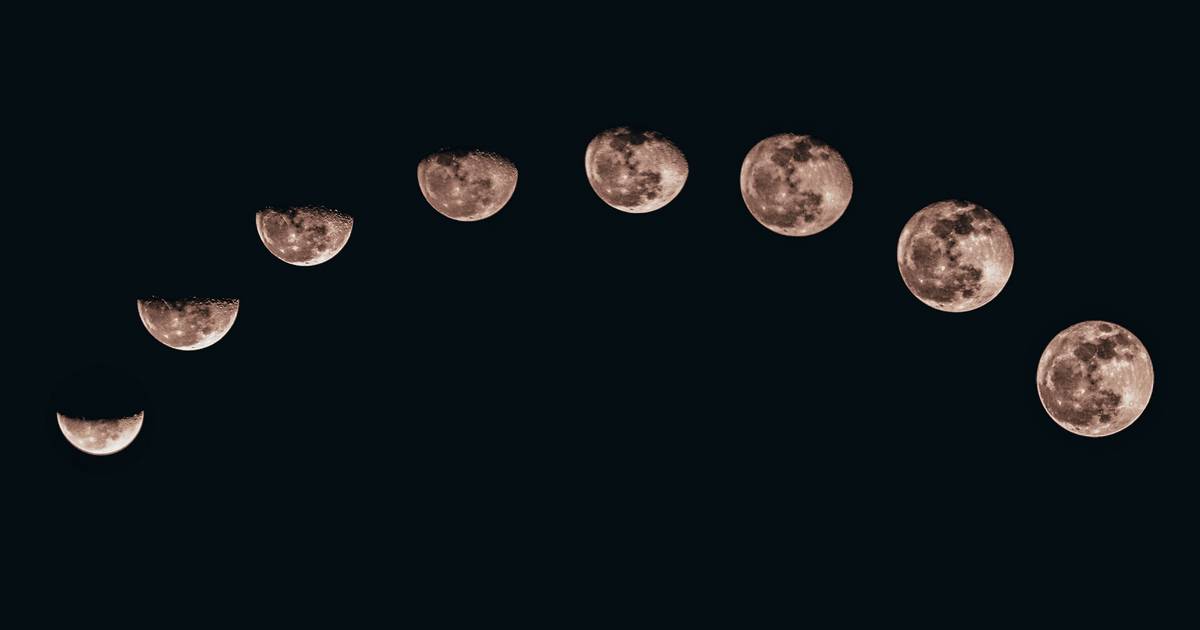 Why Do We Have a Moon?