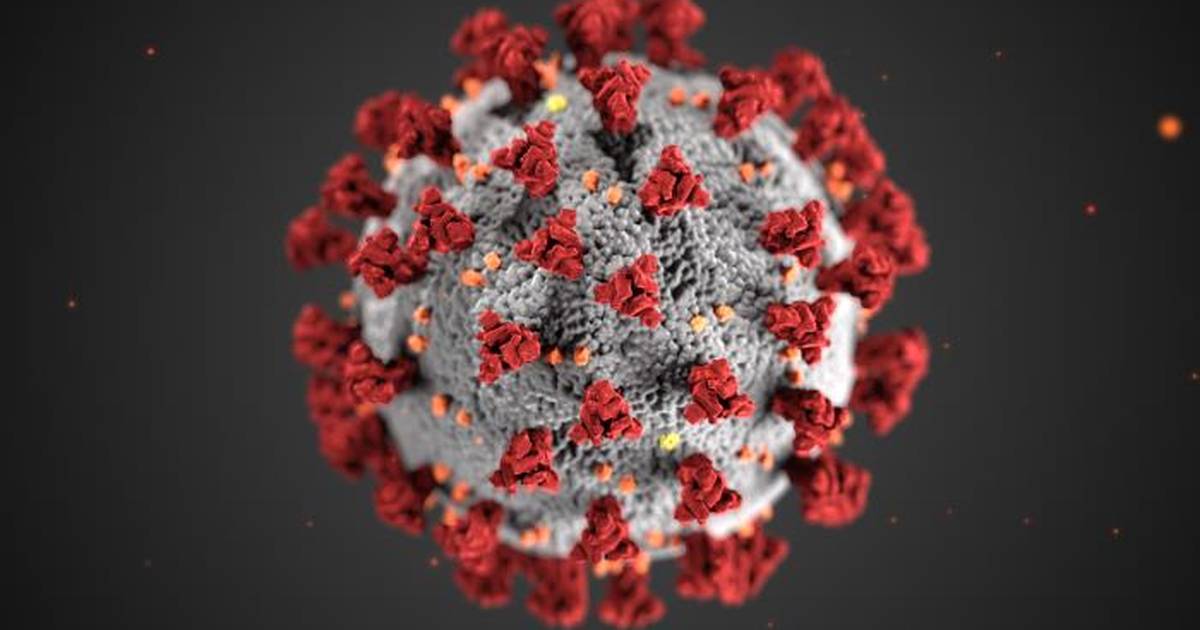 Can We Accelerate Vaccine Development?