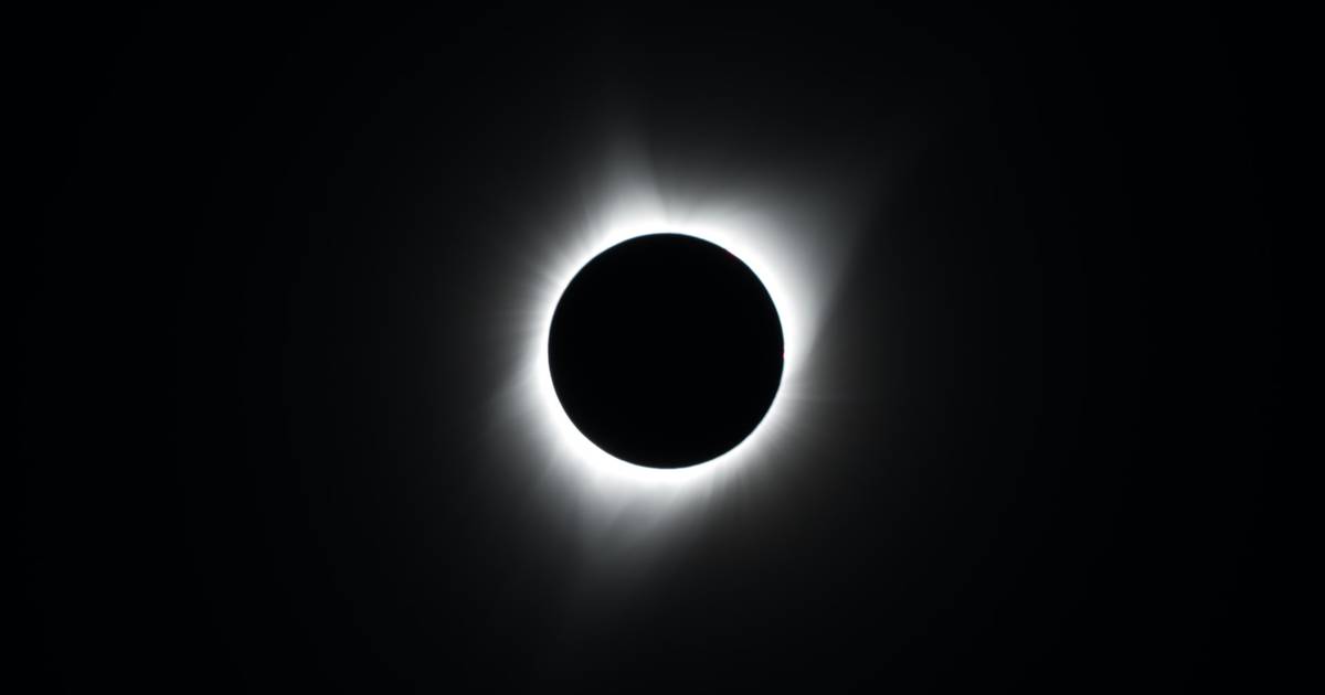The Effects of Solar Eclipses on Animals