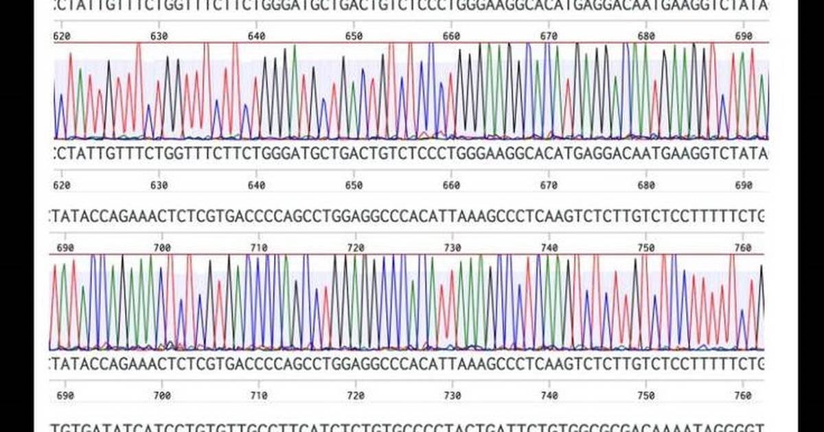 Finding TAS2R38 Differences with Benchling