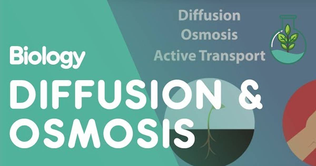 Transport in Cells: Diffusion and Osmosis