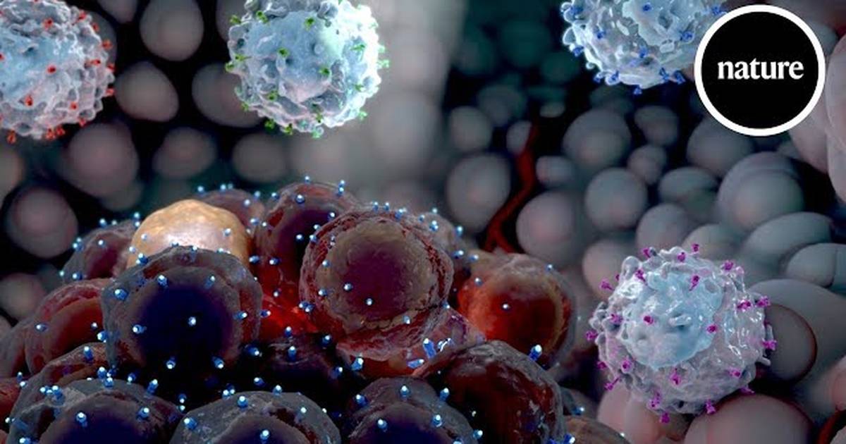 Decoding Cancer Immunology: Hunting Hidden Tumours
