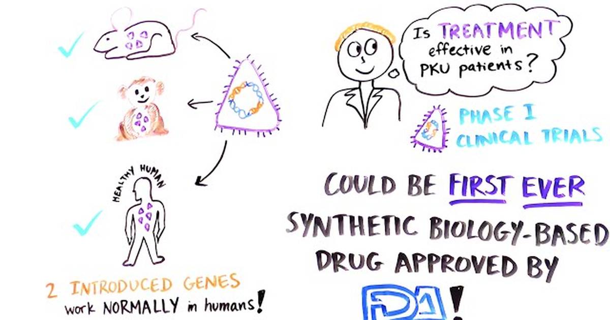 Bugs as Drugs
