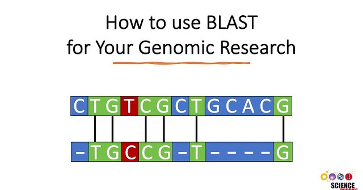 How to Use BLAST for Finding and Aligning DNA or Protein Sequences