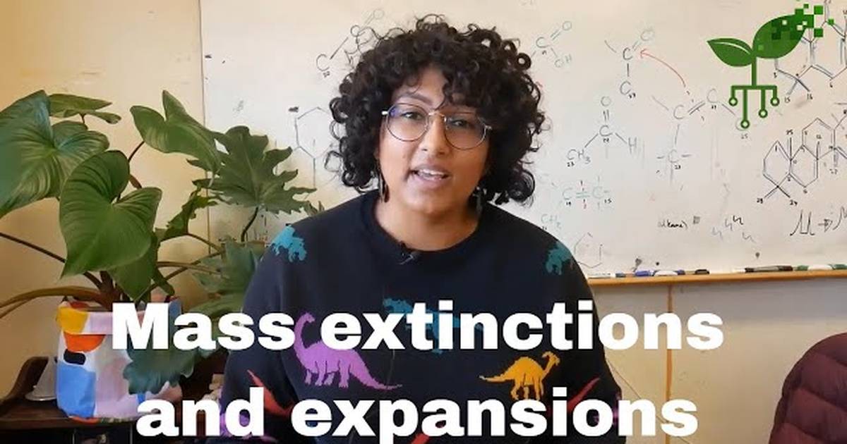 Mass Extinctions and Expansions | Intro to Earth Systems
