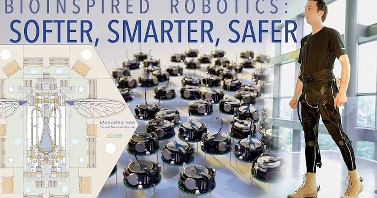 Bioinspired Robotics: Softer, Smarter, Safer