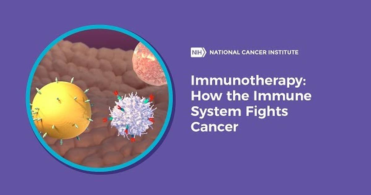 Immunotherapy: How the Immune System Fights Cancer