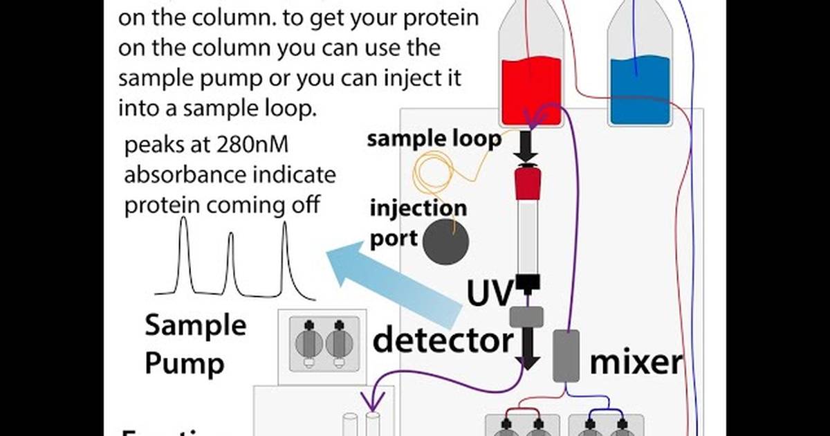 Meet the AKTA! - Fast Protein Liquid Chromatography (FPLC)