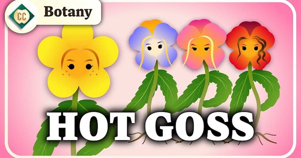 The Secret Social Lives of Plants (Population & Community Ecology)