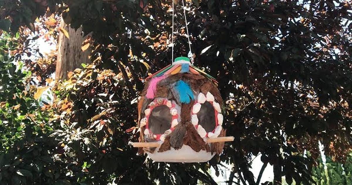 Build a Bird Feeder to Study Birds