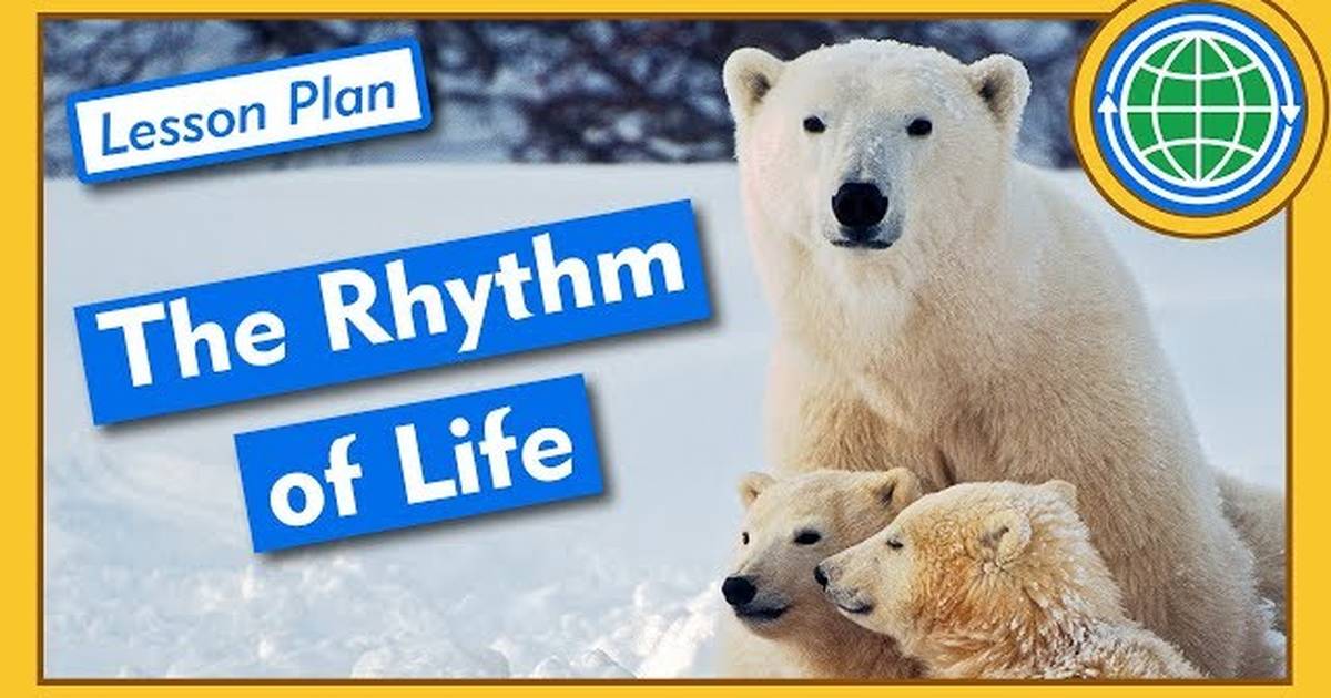 Biological Clocks and the Rhythm of Life - Lesson Plan