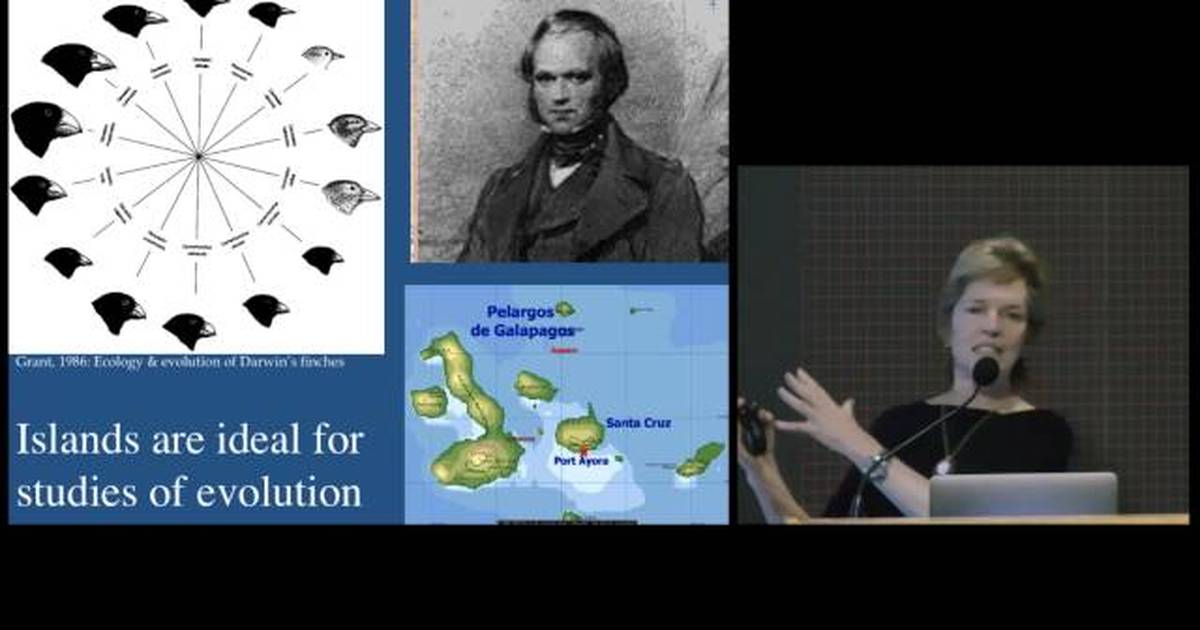 Ecology, Evolution, and Species Diversification in Hawaiian Islands