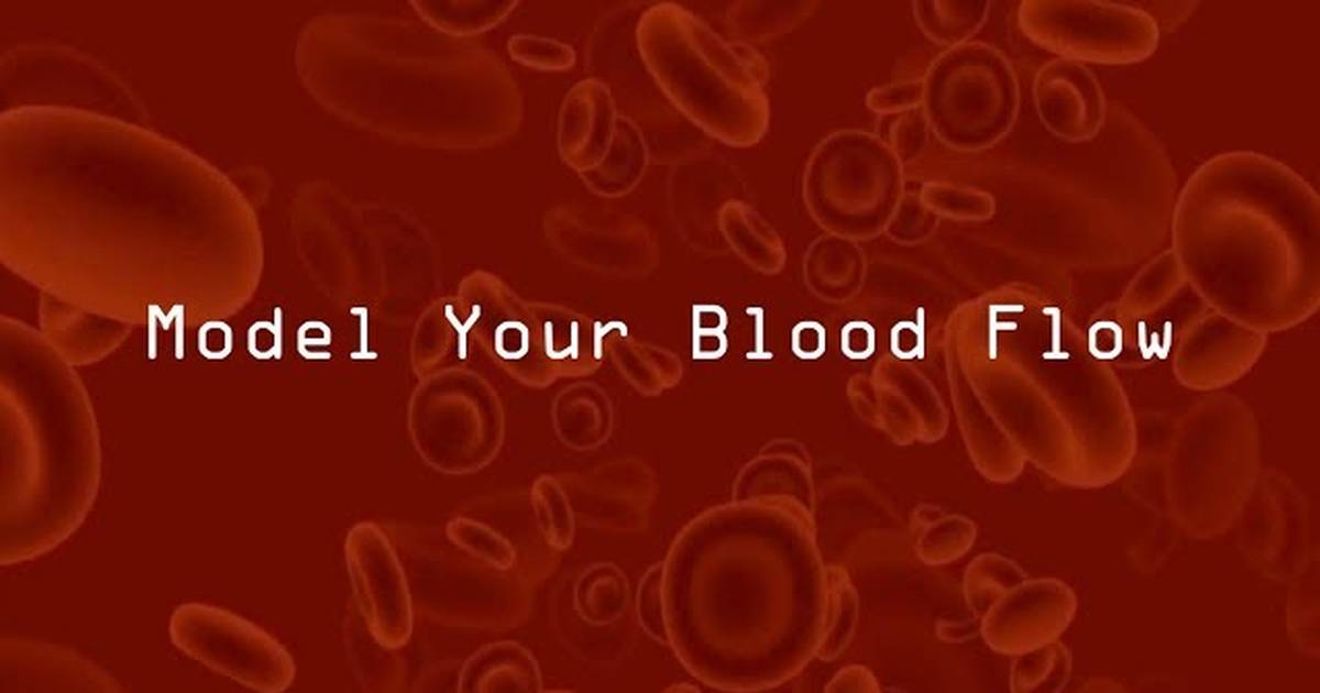 Model Your Blood Flow