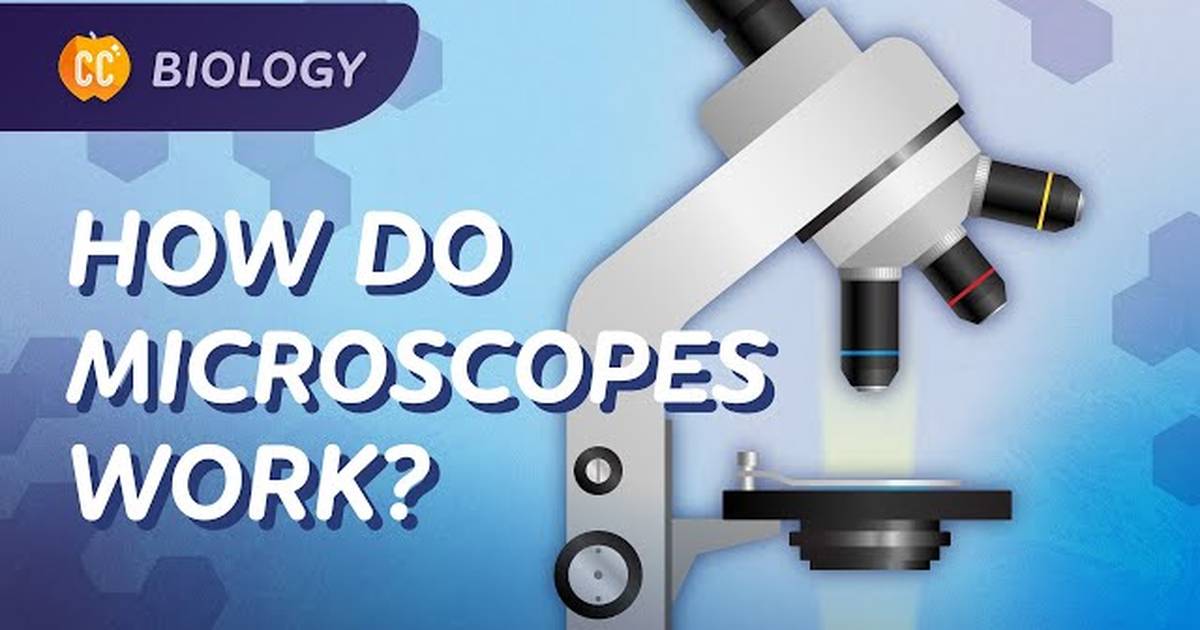 How We See What We Can't See (Microscopes)
