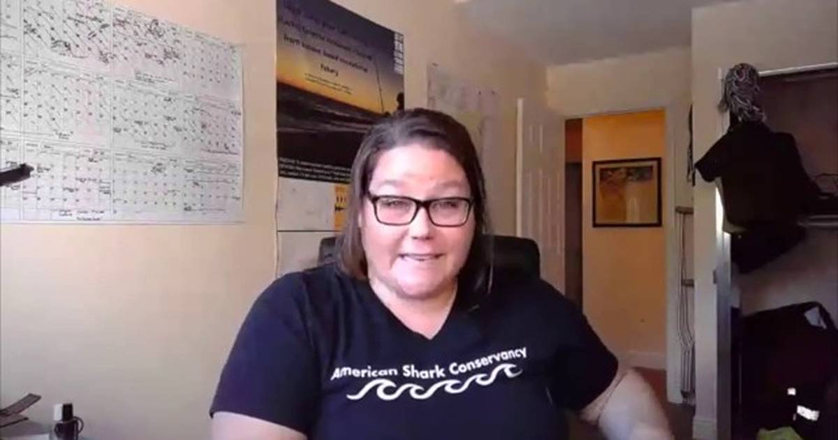 Q/A With Shark Scientist, Hannah Medd