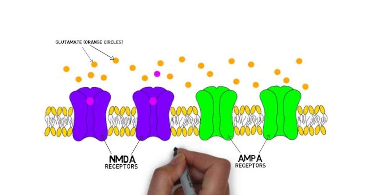 2-Minute Neuroscience: Long-Term Depression (LTD)