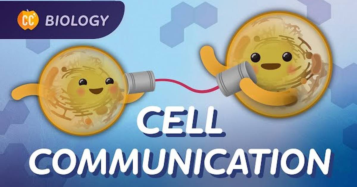 How Do Cells Communicate?