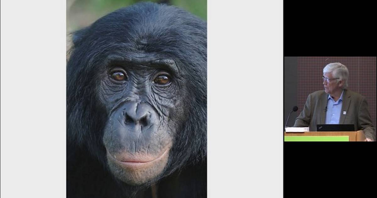 Conserving Biodiversity: A Global Priority