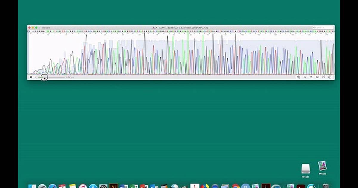 DNA Sequence Analysis with 4Peaks: Assess Sequence Quality