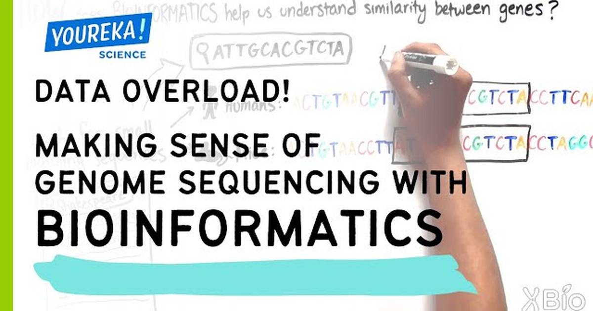 Data Overload! Making Sense of Genome Sequencing with Bioinformatics