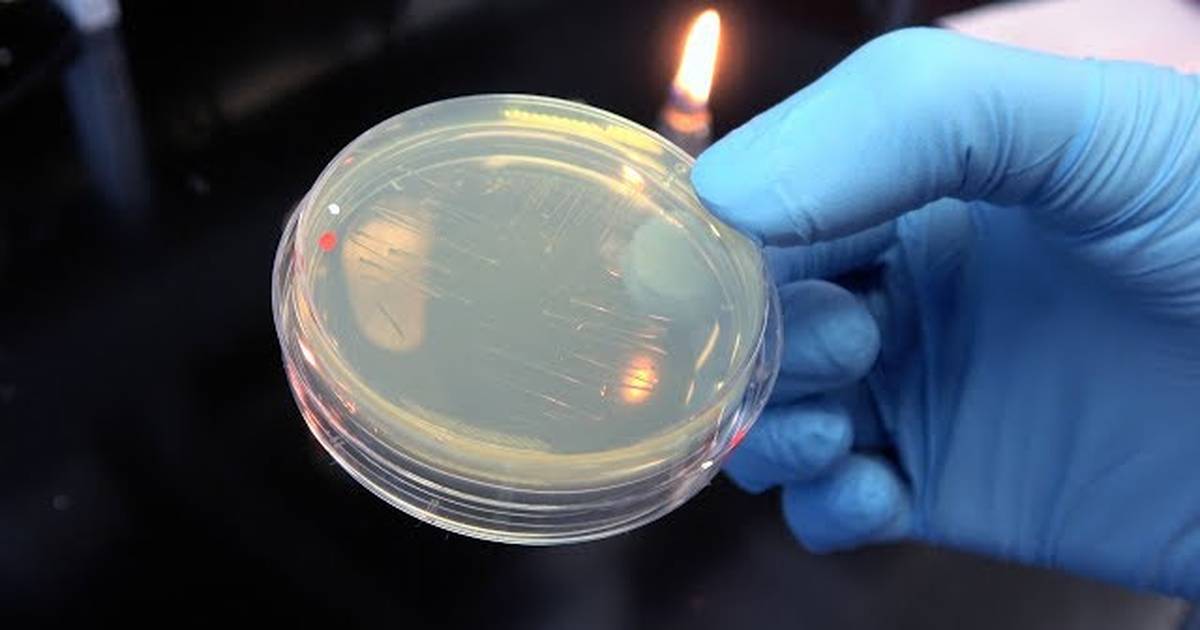 Inoculations Tip: Troubleshooting