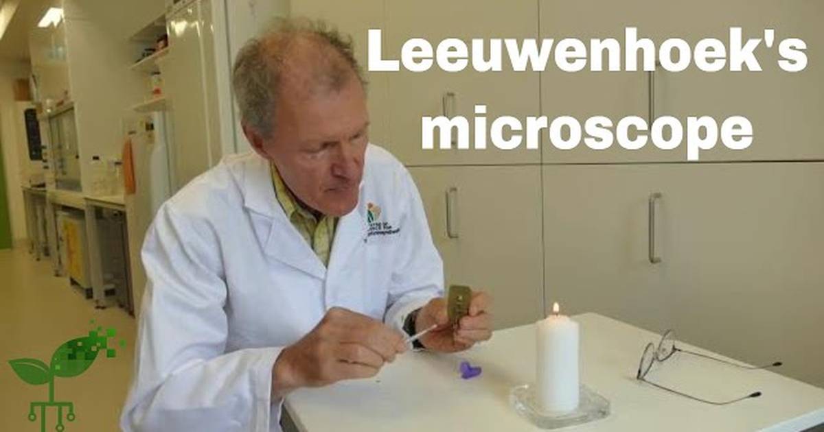 Leeuwenhoek's Microscope