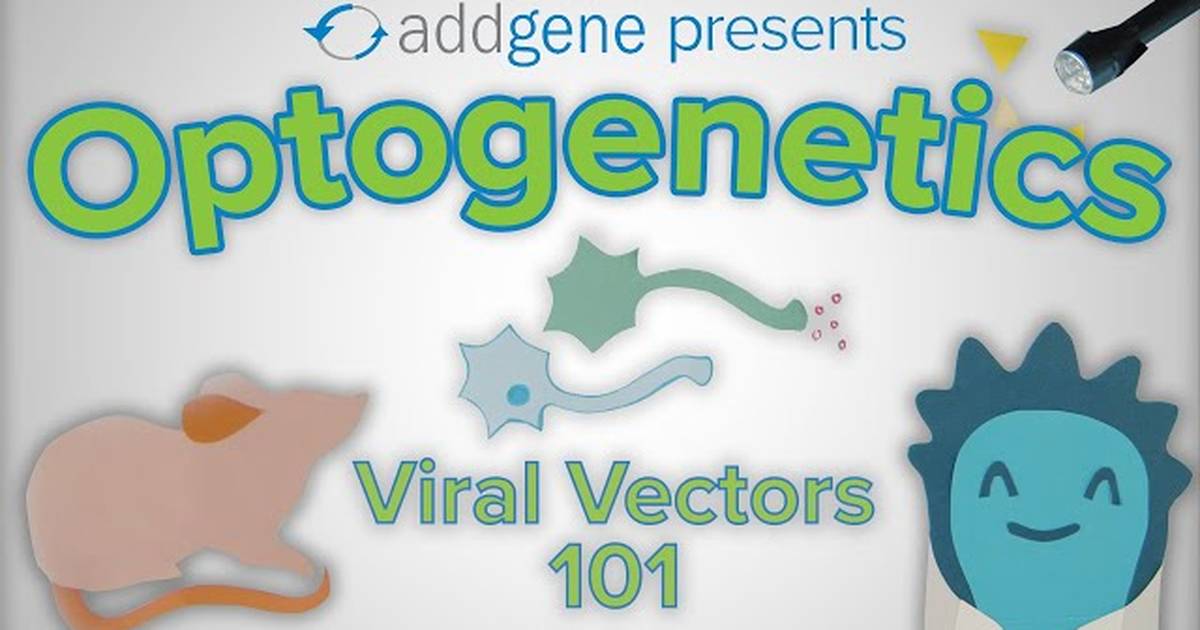 Optogenetics - Viral Vectors 101