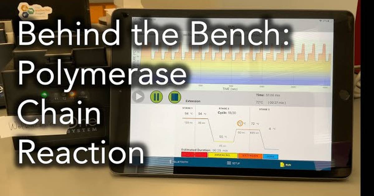 Behind the Bench: Polymerase Chain Reaction (PCR)
