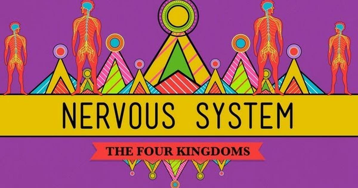 The Nervous System