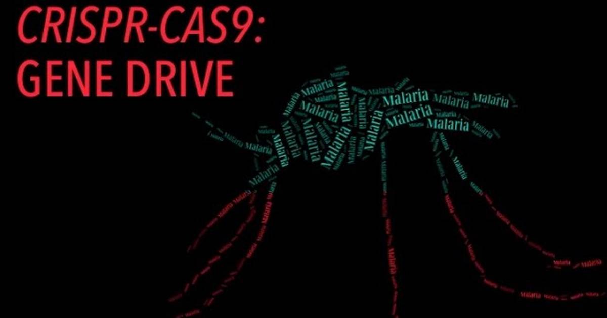 Gene Drive