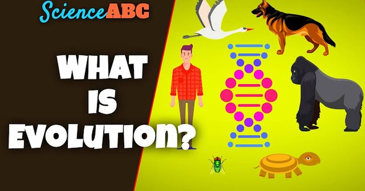 What Is Evolution: A Really Simple and Brief Explanation