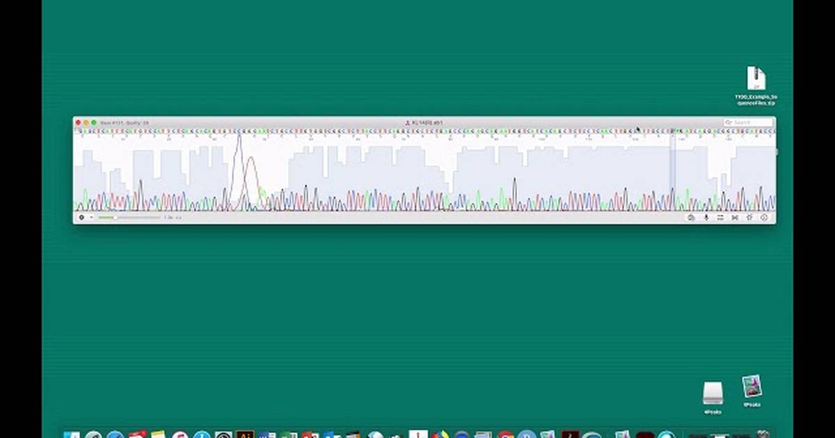 DNA Sequence Analysis with 4Peaks: Determine Genotype of TAS2R38