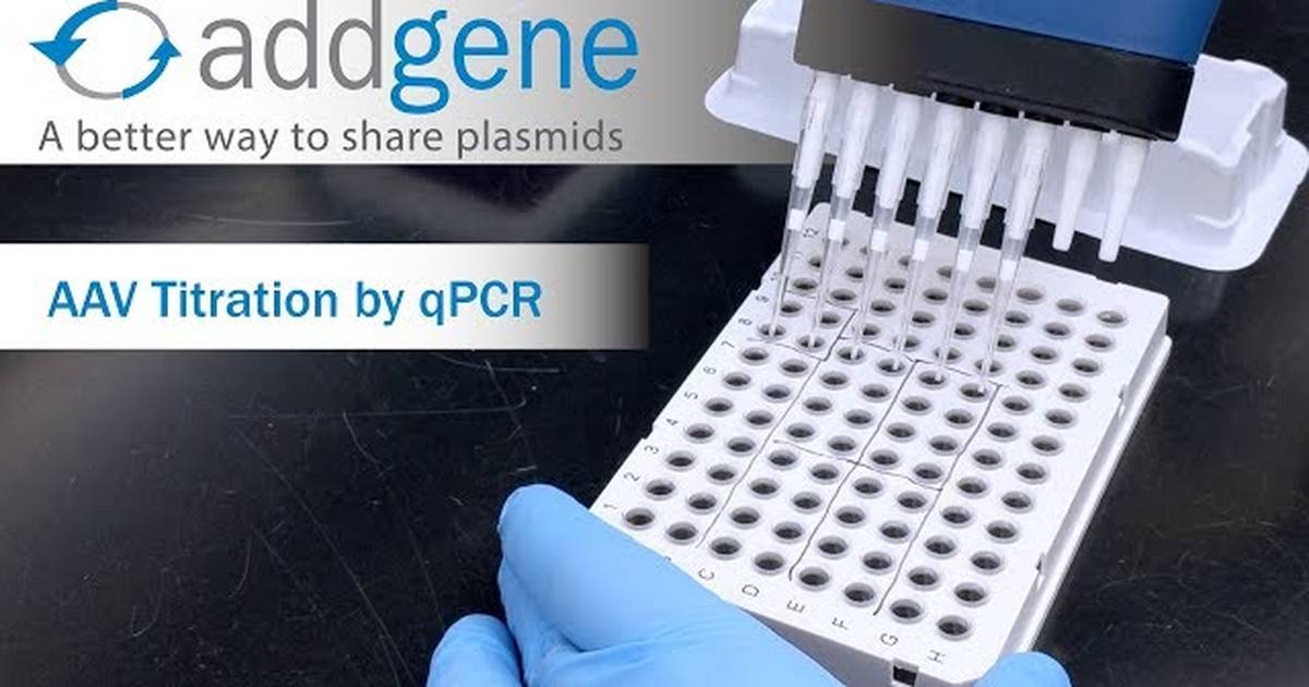 AAV Titration by qPCR