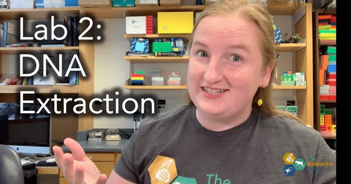 DNA Extraction - Arthropods