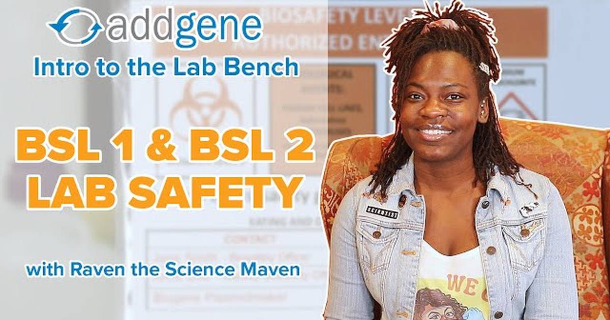 BSL 1 & BSL 2 Safety - Intro to the Lab Bench