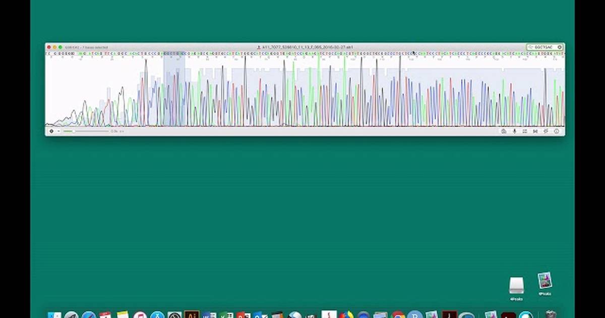 DNA Sequence Analysis with 4Peaks: Determine Genotype of ACTN3