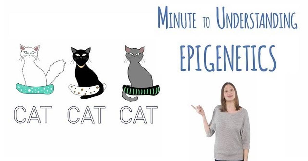 What Is Epigenetics?