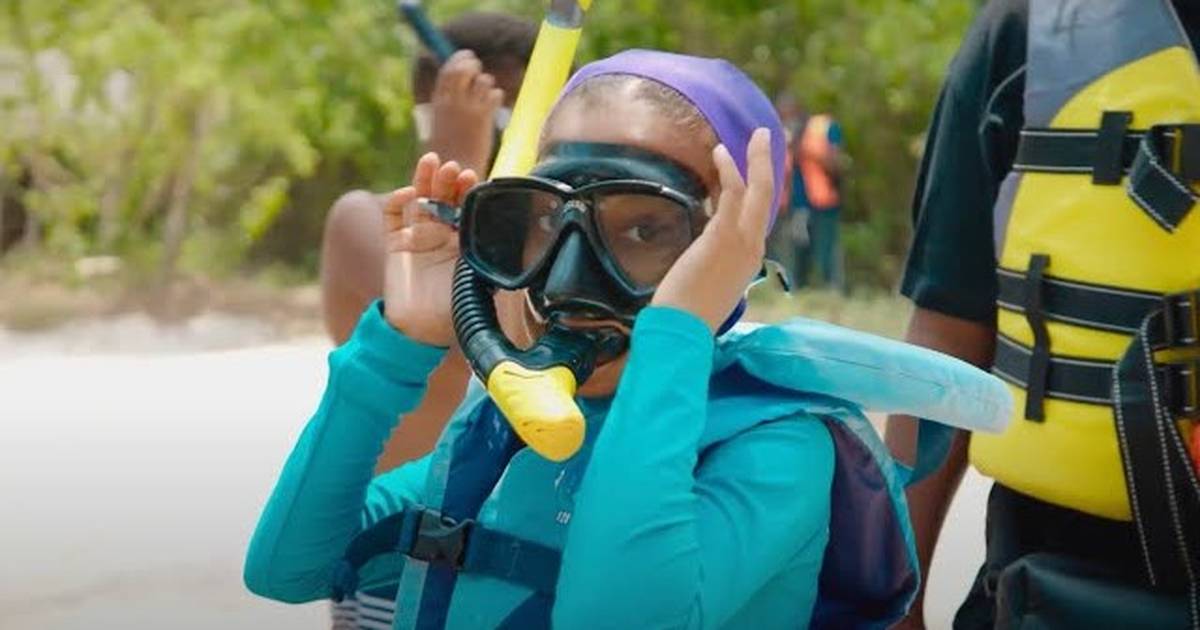 Sharks, Rays and Coral Secrets