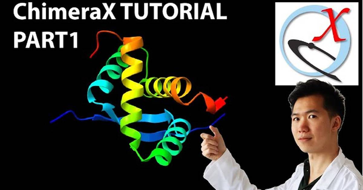 3D Protein ChimeraX Tutorial: Opening New File