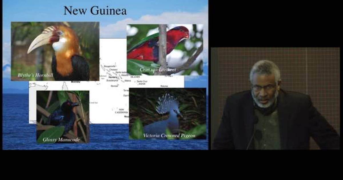 Evolution and Conservation of Island Birds - Lessons from Genomics