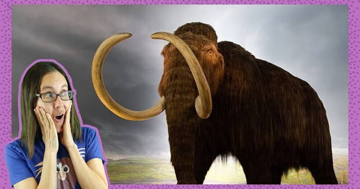 What Caused the Ice Age?