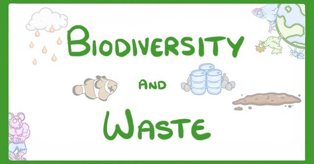 How Human Waste Reduces Biodiversity
