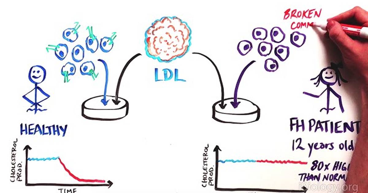 Discovering the Cell's Radar: How Cells Sense Their Environment