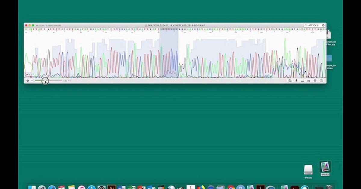 DNA Sequence Analysis with 4Peaks: Determine Genotype of CYP2C19
