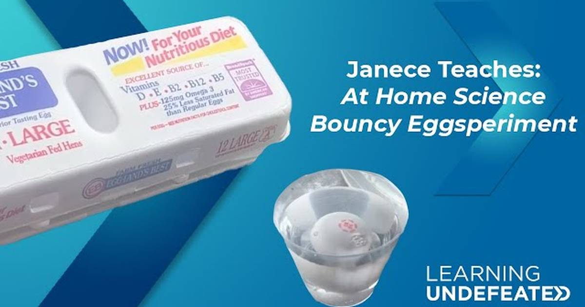 At Home Science: DIY Bouncy Egg