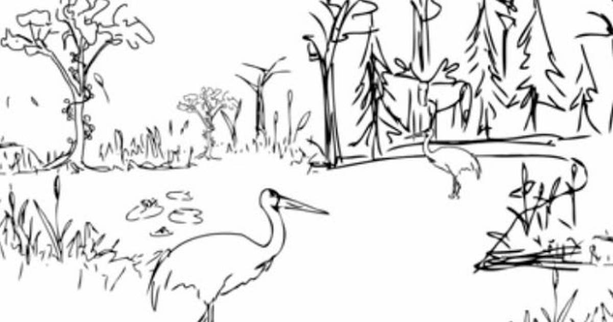 Conservation and the Race to Save Biodiversity