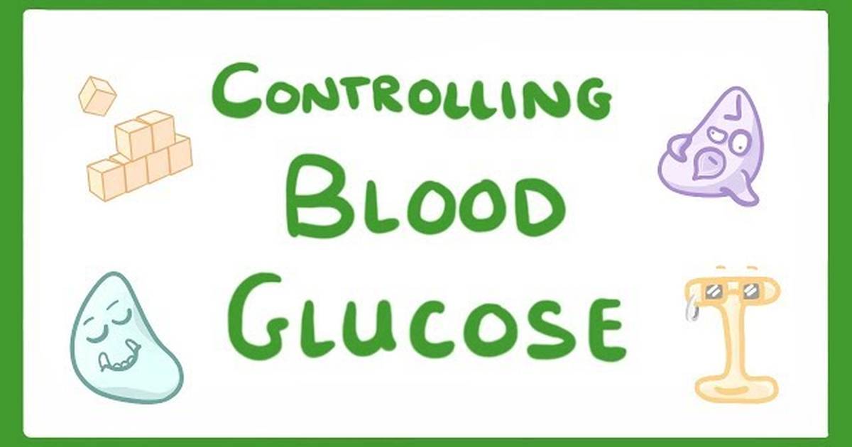 Control of Blood Glucose Concentration