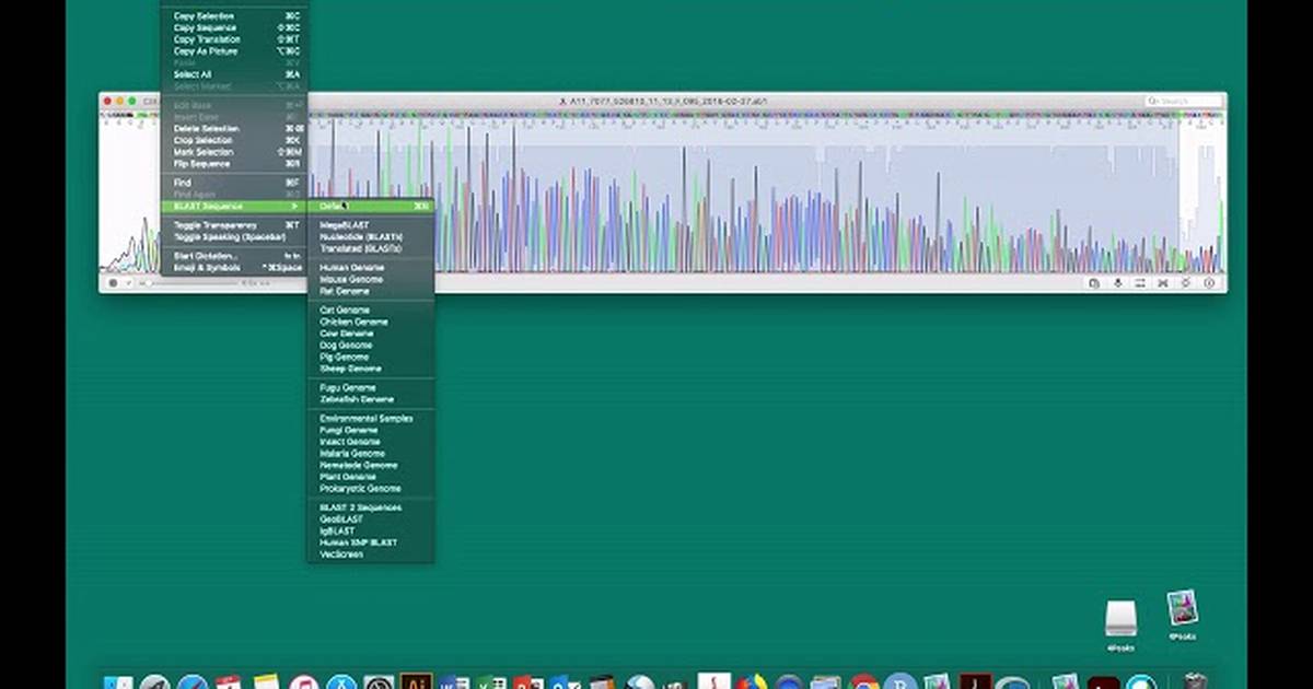 DNA Sequence Analysis with 4Peaks: Confirm Identity of Sequence Using BLAST