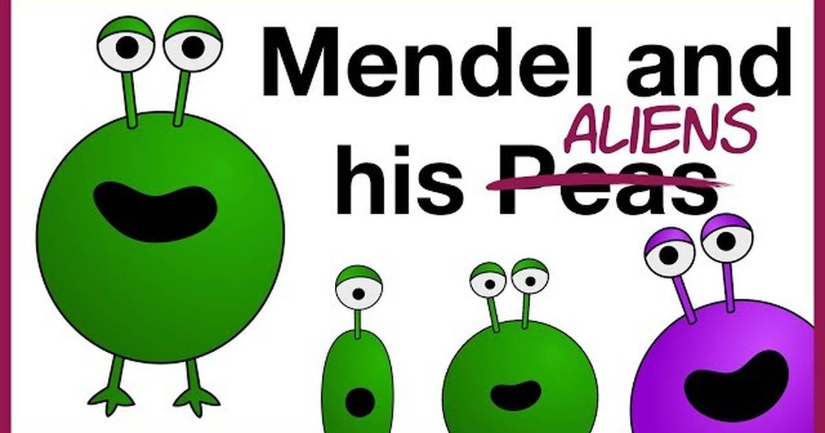 Mendel and Heredity