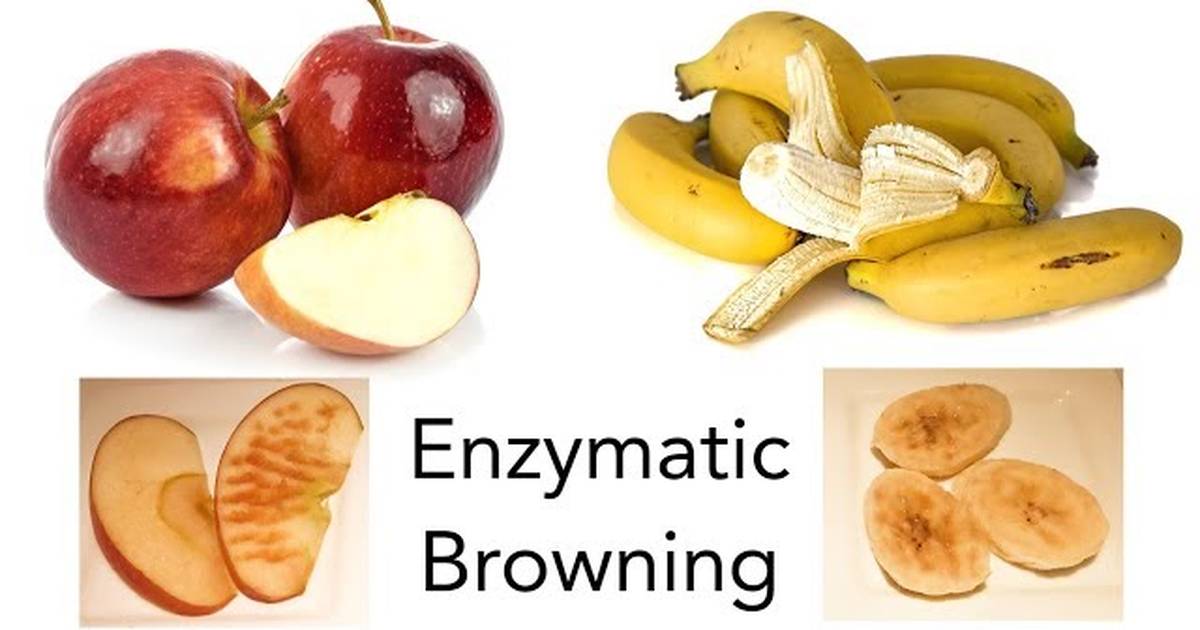 Fruits Gone Bad? Discover Enzymatic Browning